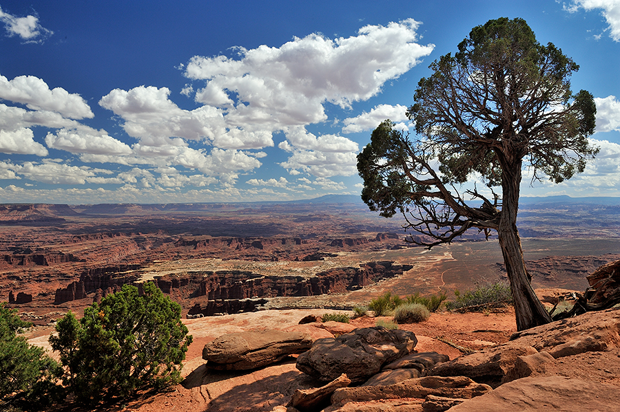 Grand View Point