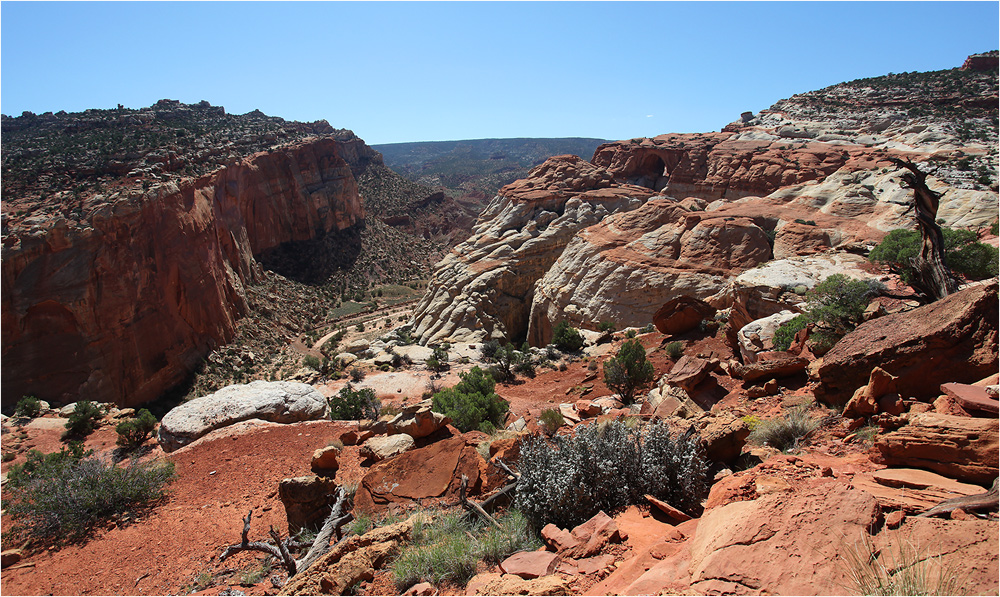 Grand Wash - Cassidy Arch