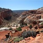 Grand Wash - Cassidy Arch