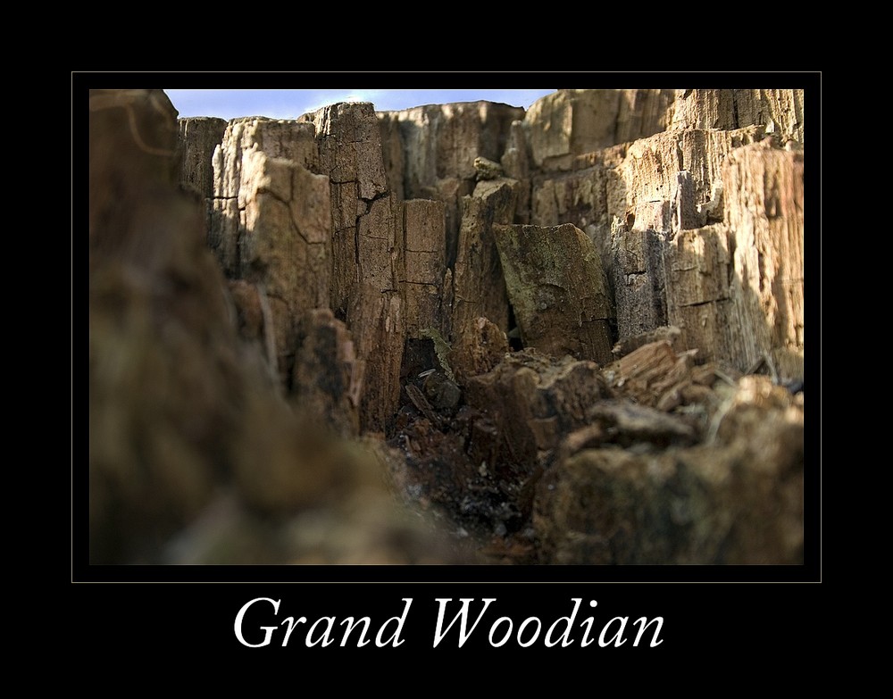 Grand Woodian