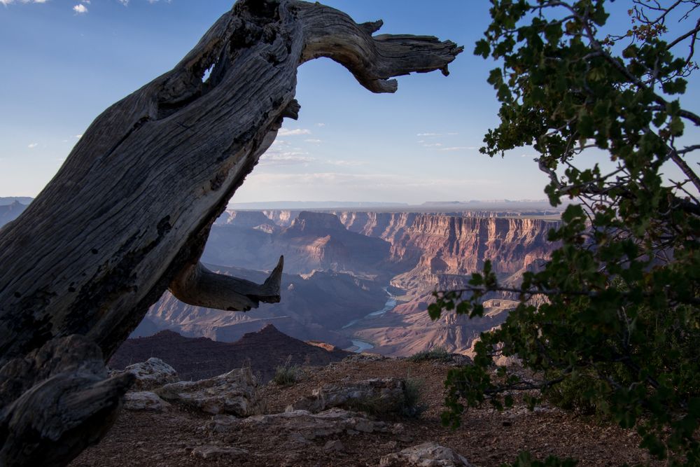 GrandCanyon USA