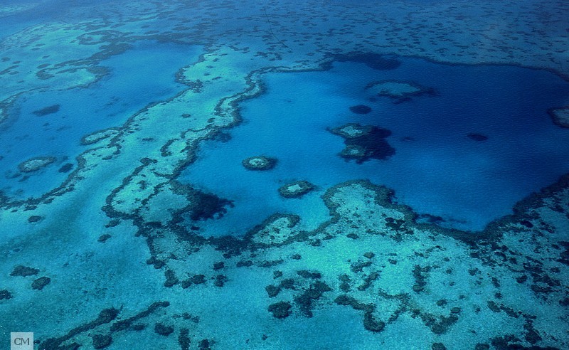 Grande barrière de corail