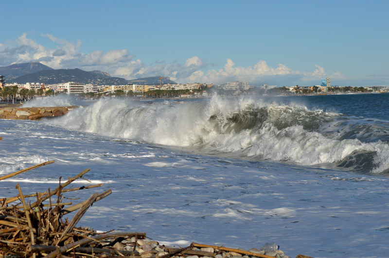 Grande bleue en colére