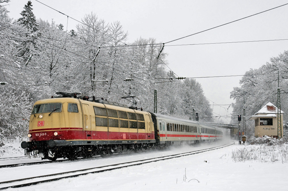 Grande Dame im Schnee