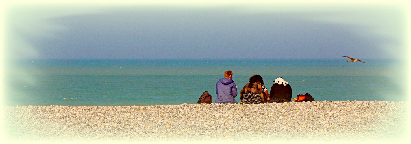 Grande fraîcheur en bord de mer /mars dernier