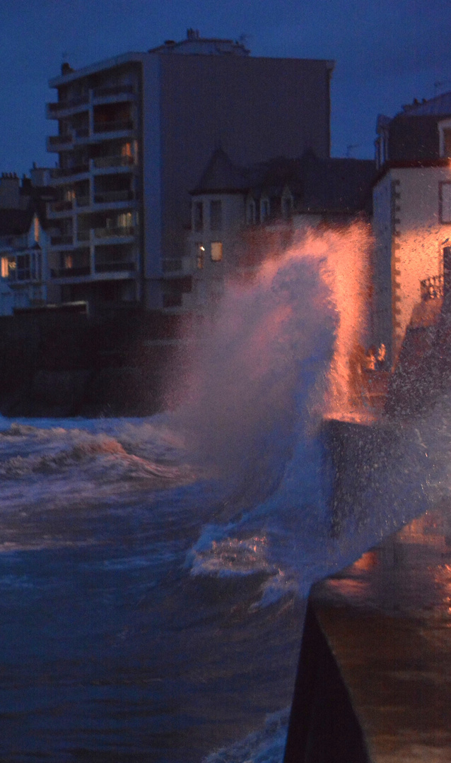 Grande marais de Mars2024 ST Malo