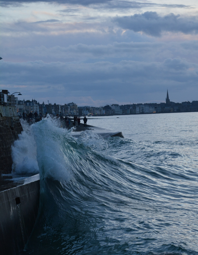 Grande marais de Mars2024 ST Malo