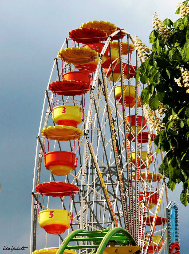 Grande roue 