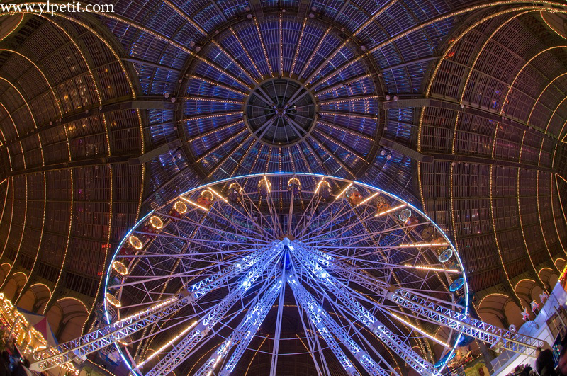 Grande roue au grand Palais