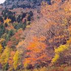 Grandfather Mountain from Blue Ridge Parkway, NC