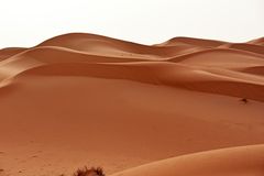 Grandiose Dünenlandschaft im Erg Chebbi