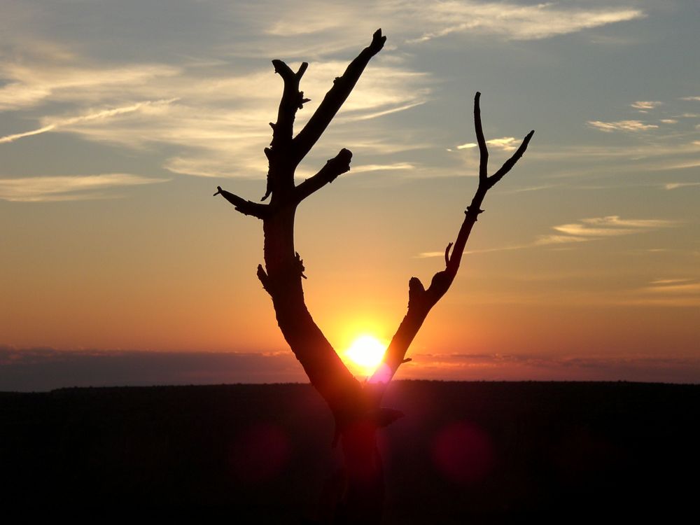 grandioser Sonnenuntergang am dead Horse Point