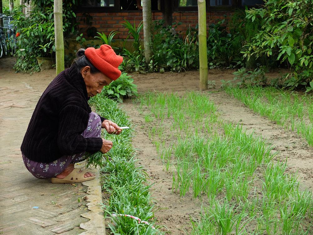 grand'mère vietnamienne de 82 ans