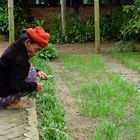 grand'mère vietnamienne de 82 ans