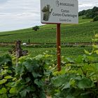 Grands crus de Bourgogne 2