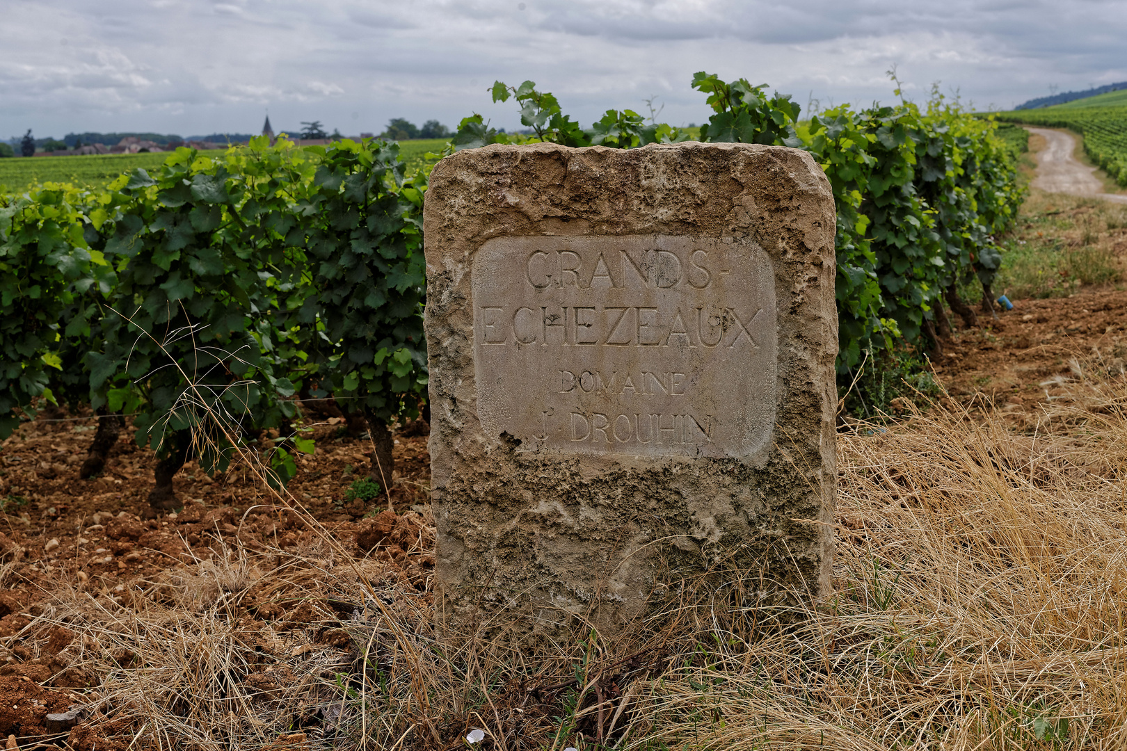 Grands crus de Bourgogne 3