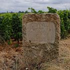 Grands crus de Bourgogne 3