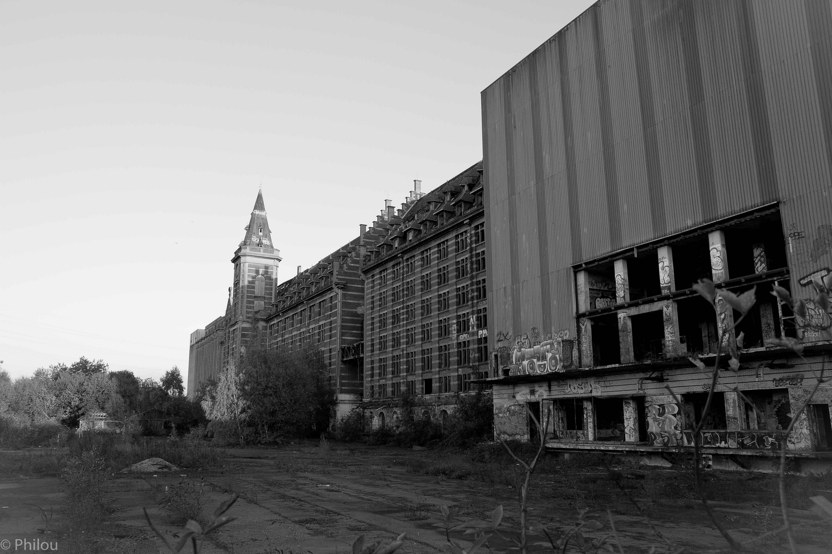 Grands moulins de paris à Lille 4