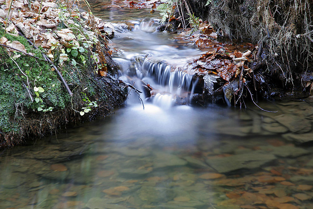 grandsberg2