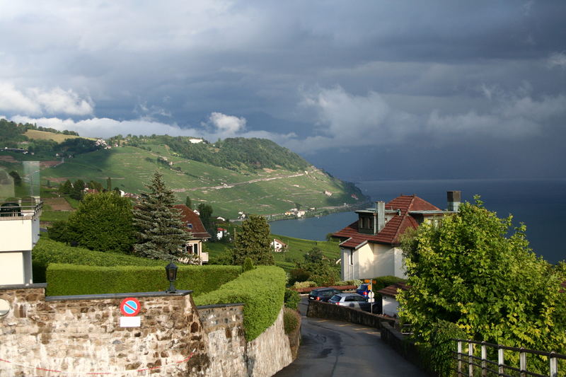 Grandvaux avec vue sur le Lavaux et le lac Léman.