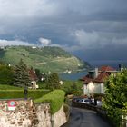 Grandvaux avec vue sur le Lavaux et le lac Léman.