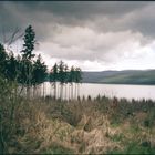 Granestausee (f17023_95)