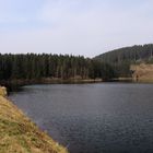 Granestausee im Harz 