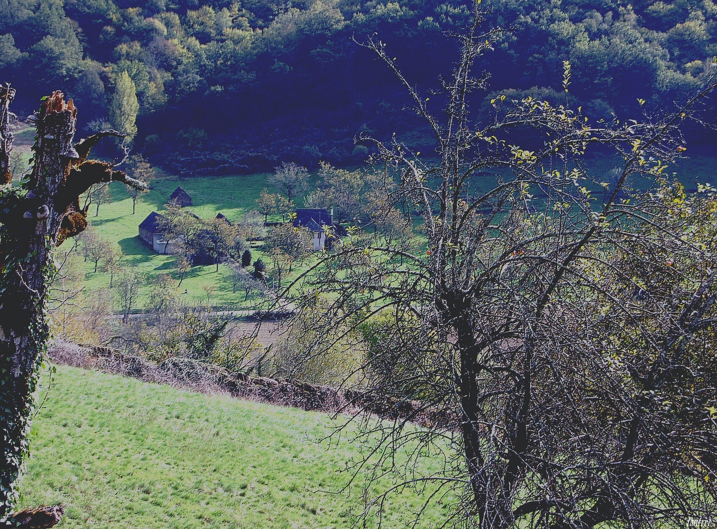 Granges, Laval de Cère