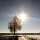 Granheimerkreuz bei Schnee mit herrlichem Sonnenschein - Kopie