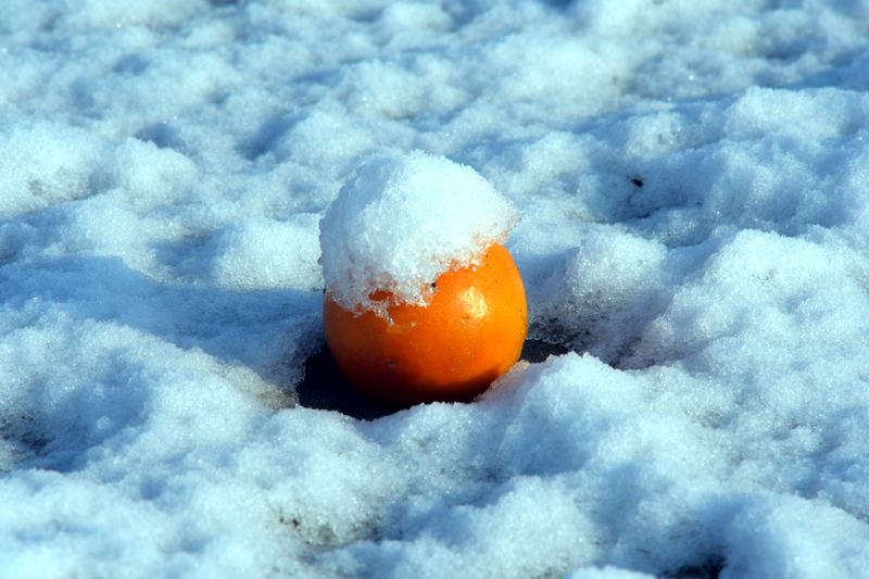 granita all'arancio