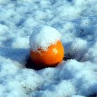 granita all'arancio