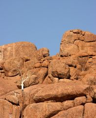 Granitfels mit wilder Kastanie?