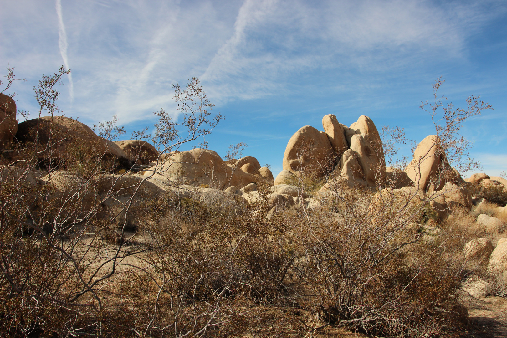 Granitfelsen im Joshua National Park California