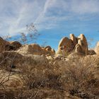 Granitfelsen im Joshua National Park California