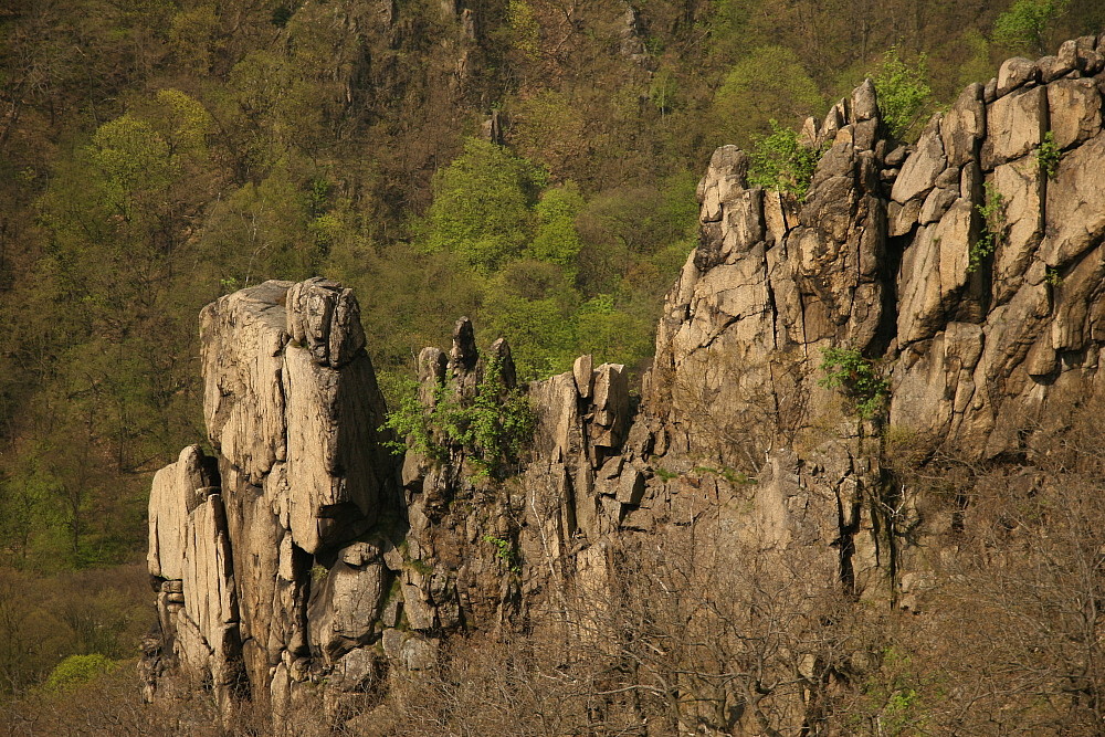 Granitfelsenfrühling