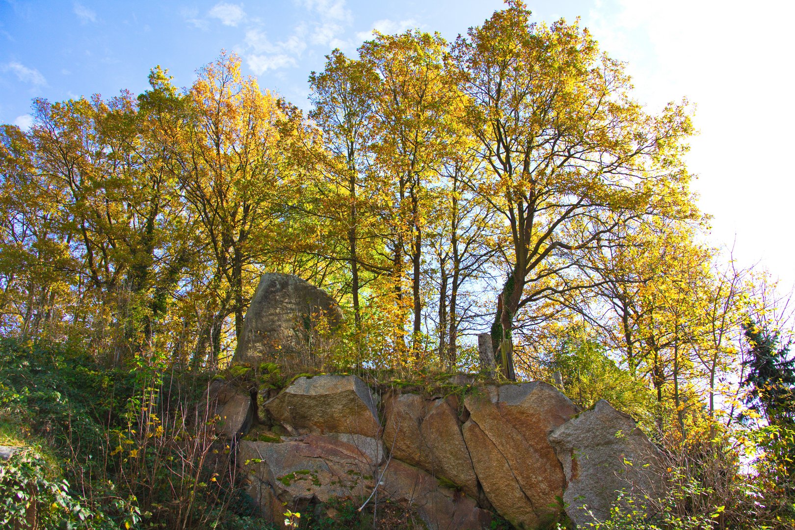 Granitsteine Gmünd Blockheide (NÖ)