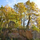 Granitsteine Gmünd Blockheide (NÖ)