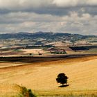 Grano e montagne