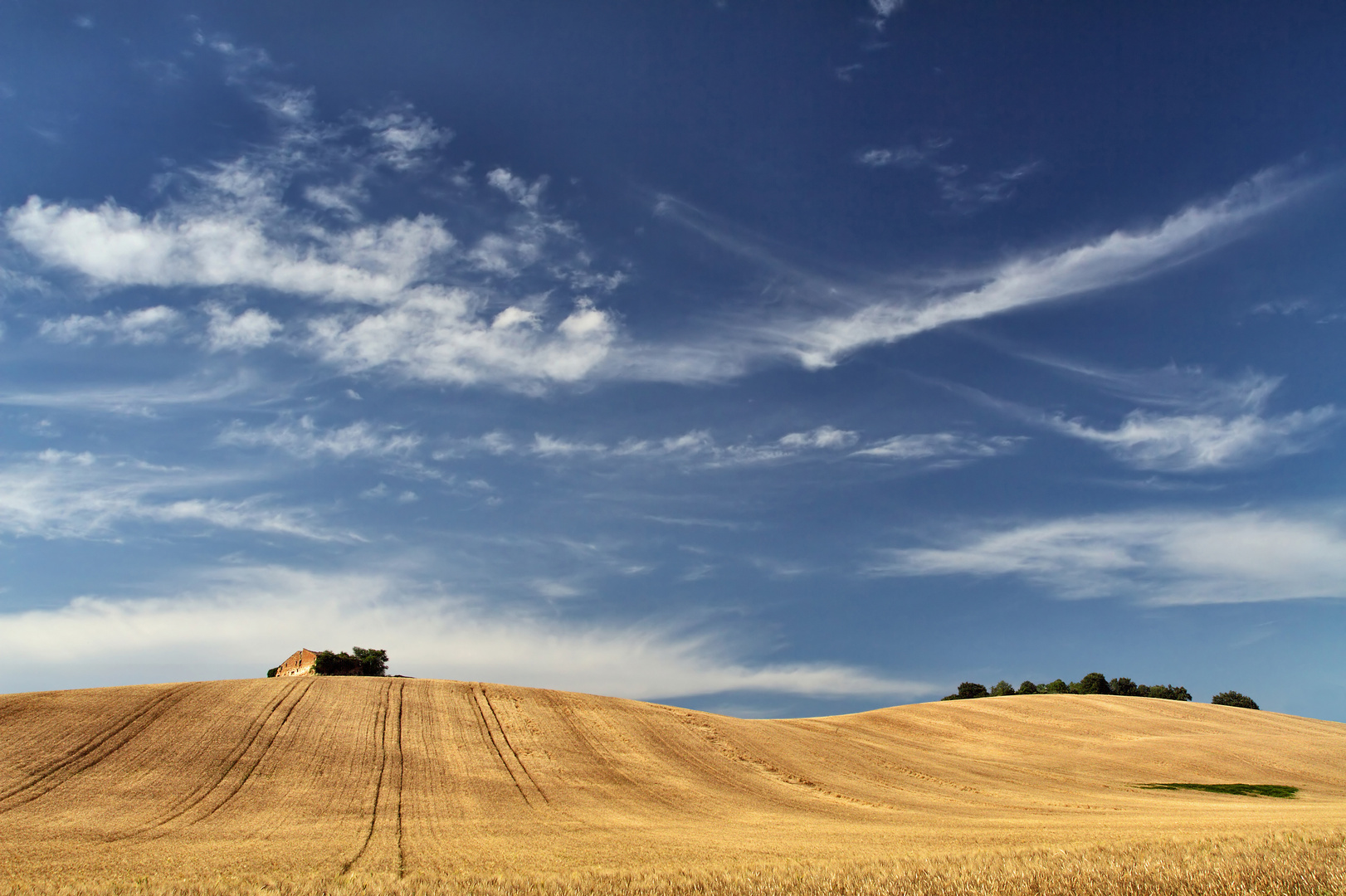 grano