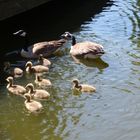 Granville Island, Vancouver B.C. Familienausflug