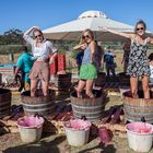 Grape stomping beim "Feast of the Grapes"