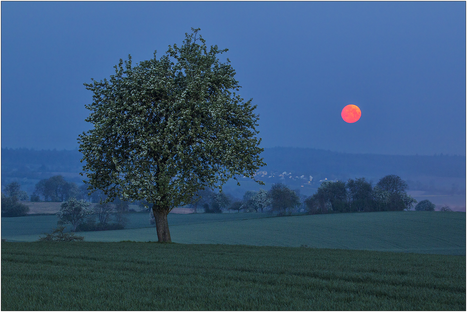 Grapefruit Moon