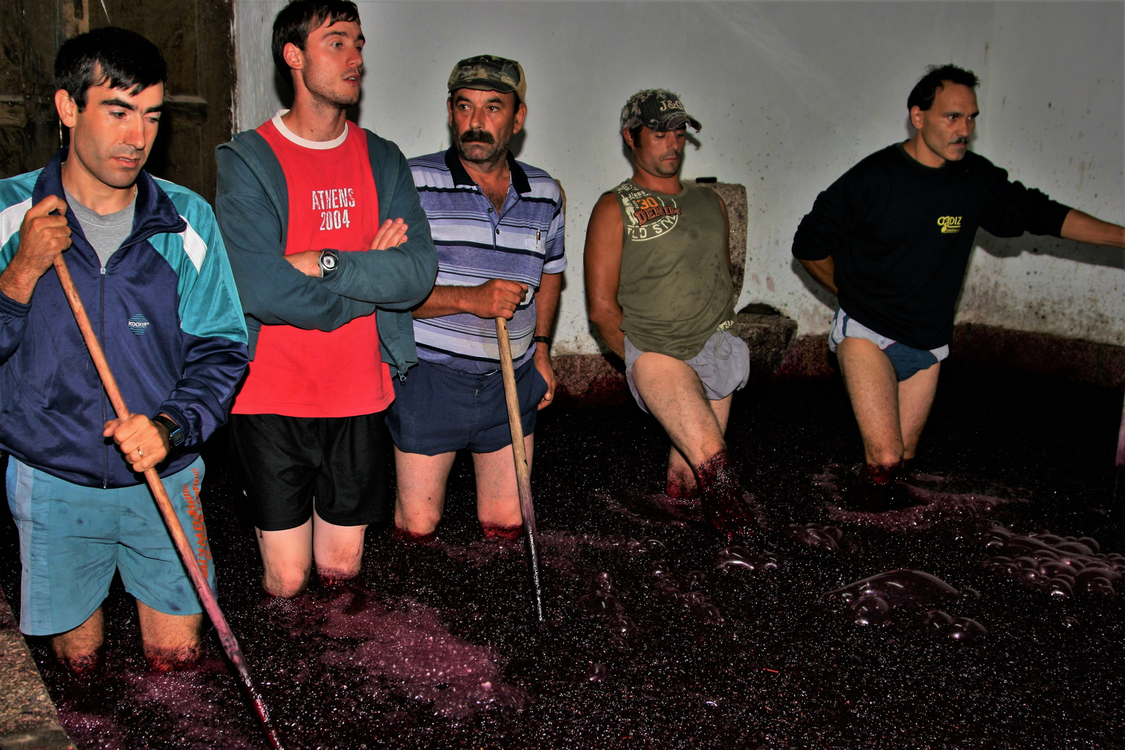 Grapes stomping 1