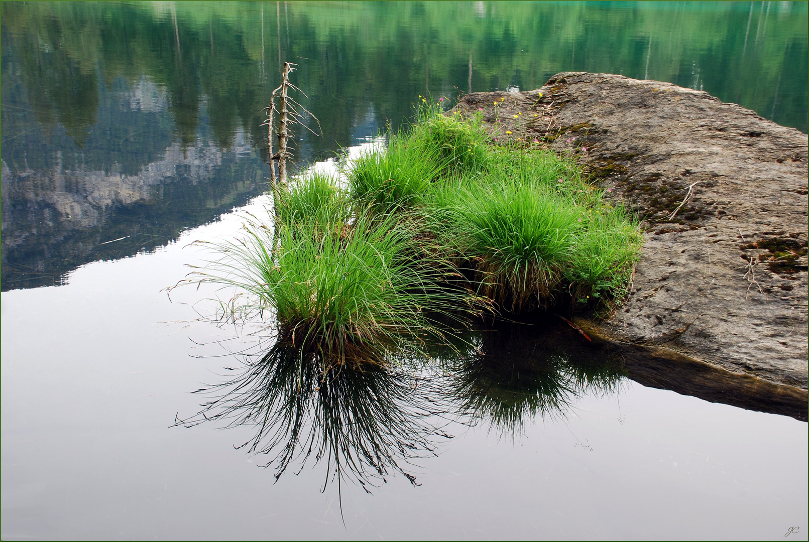 Gras am See