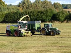 Gras aufnehmen und häckseln ...