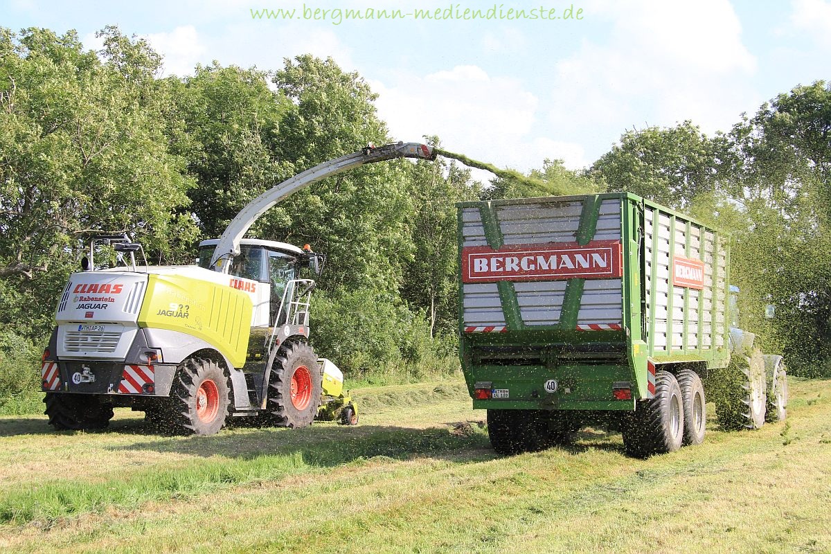 Gras aufsammeln in Dornum