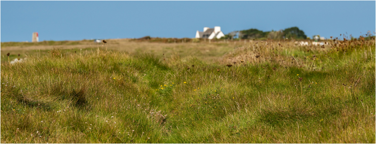 "Gras" - Bretagne, September 2021