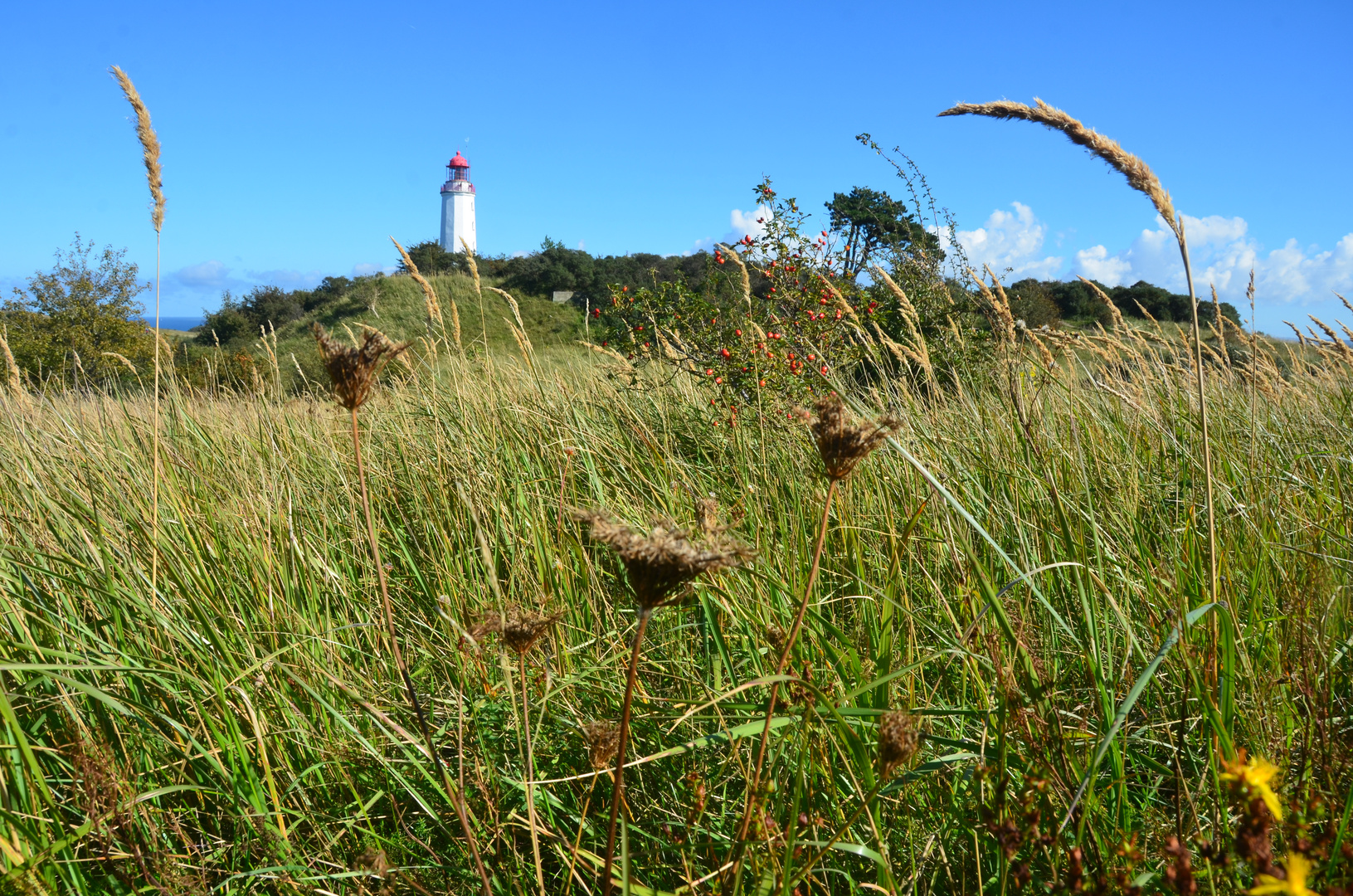 Gras getuschel am Leuchtturm