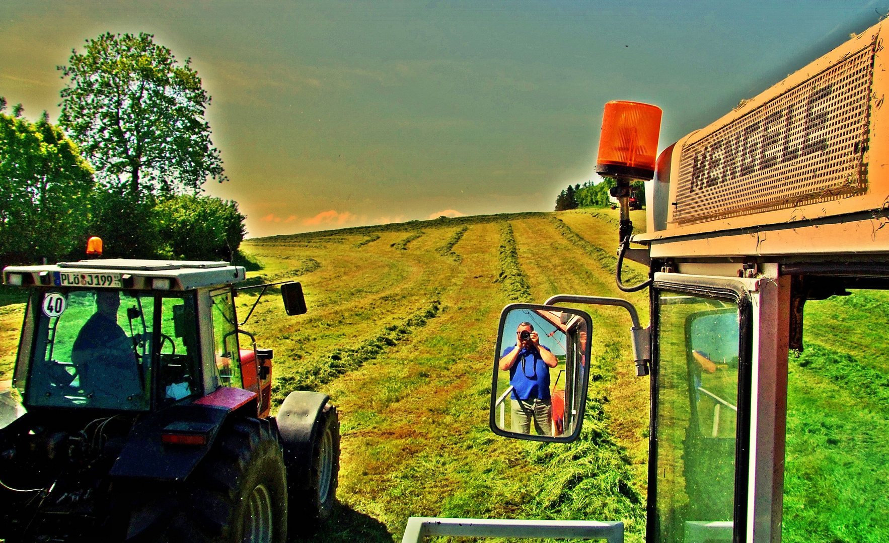 Gras Silage  (alles im Kasten)