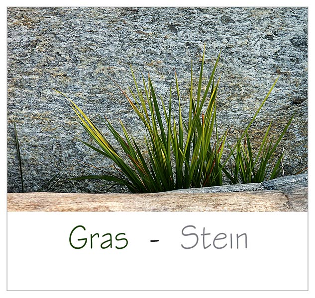 Gras - Stein